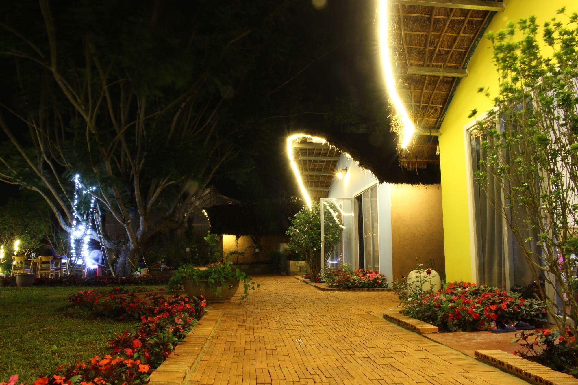 Cocoon Bungalow Dalat Exteriér fotografie